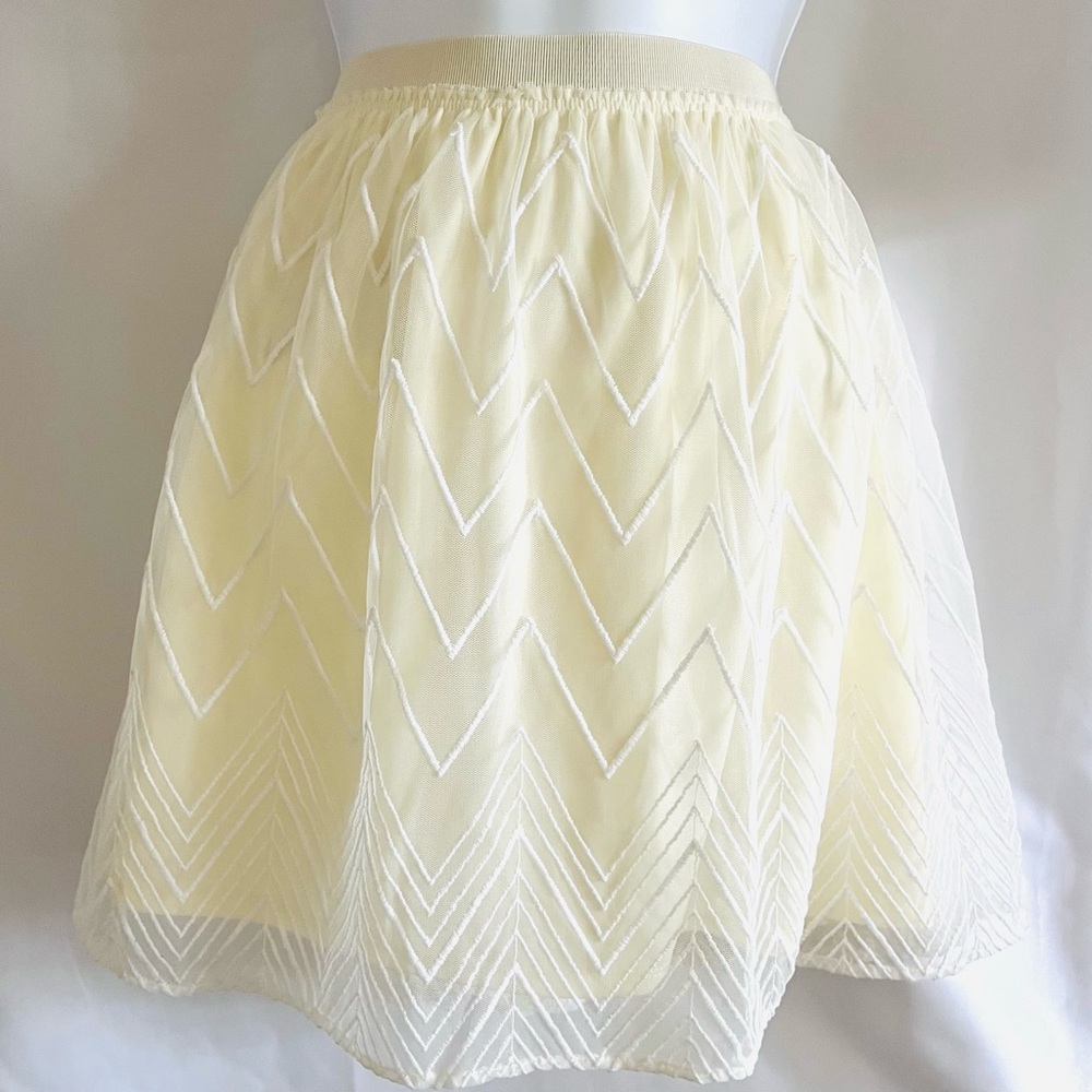 American Eagle Outfitters | Elastic Waist | Sheer Embroidered  | Sz M